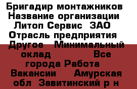 Бригадир монтажников › Название организации ­ Литоп-Сервис, ЗАО › Отрасль предприятия ­ Другое › Минимальный оклад ­ 23 000 - Все города Работа » Вакансии   . Амурская обл.,Завитинский р-н